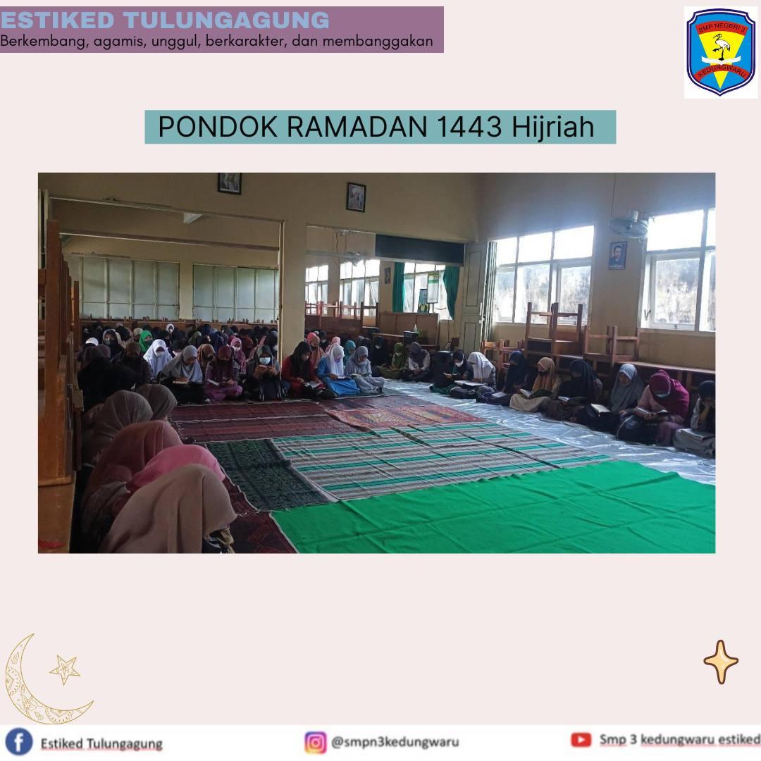 photo1650253666-1 (1)